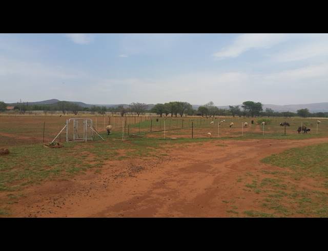 21.40HA FARM FOR SALE IN WAAGFONTEIN